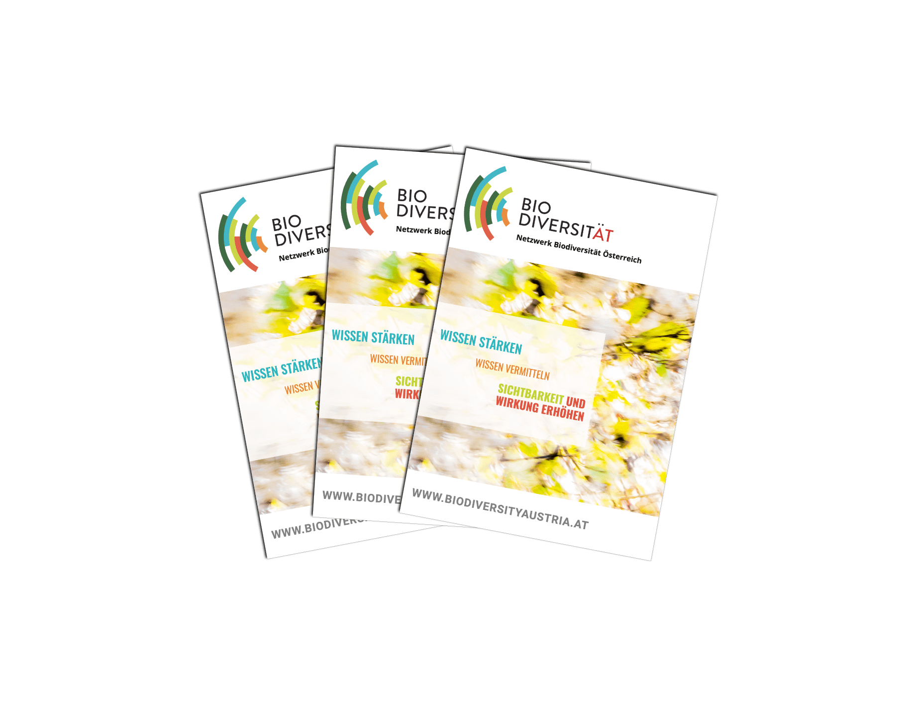 Grafikdesign-Projekt für Biodiversitäts-Hub der Donau-Universität Krems