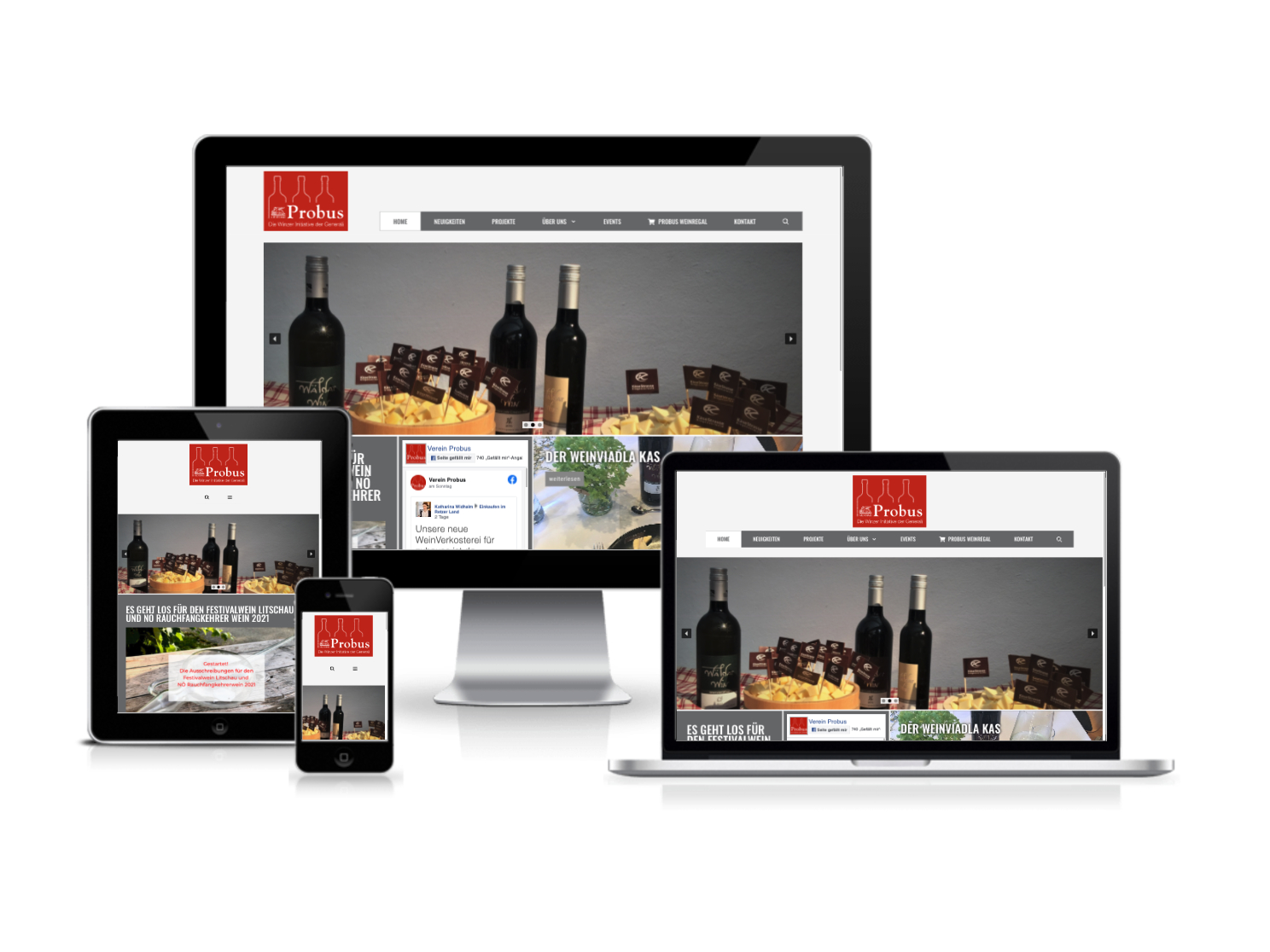 Website-Projekt für Probus